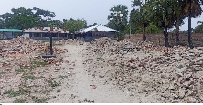 মোরেলগঞ্জে স্কুল ভবন ভাঙা ও গাছ বিক্রি, জানেন না ইউএনও সভাপতি